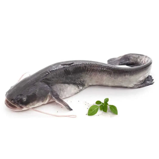 Frozen Catfish Box 2.5kg